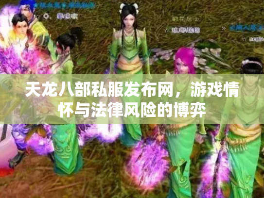 天龙八部私服发布网，游戏情怀与法律风险的博弈