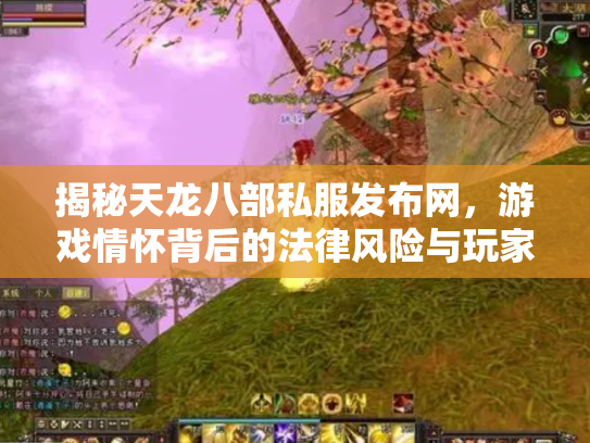揭秘天龙八部私服发布网，游戏情怀背后的法律风险与玩家抉择