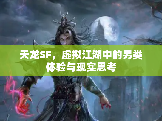 天龙SF，虚拟江湖中的另类体验与现实思考