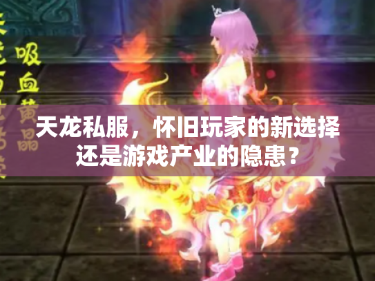天龙私服，怀旧玩家的新选择还是游戏产业的隐患？