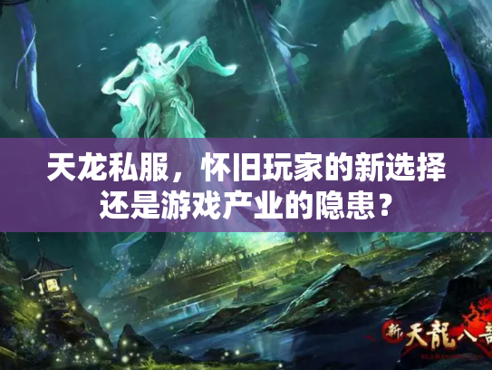 天龙私服，怀旧玩家的新选择还是游戏产业的隐患？