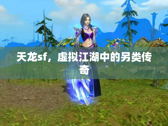 天龙sf，虚拟江湖中的另类传奇