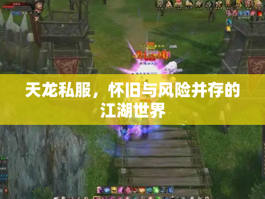 天龙私服，怀旧与风险并存的江湖世界