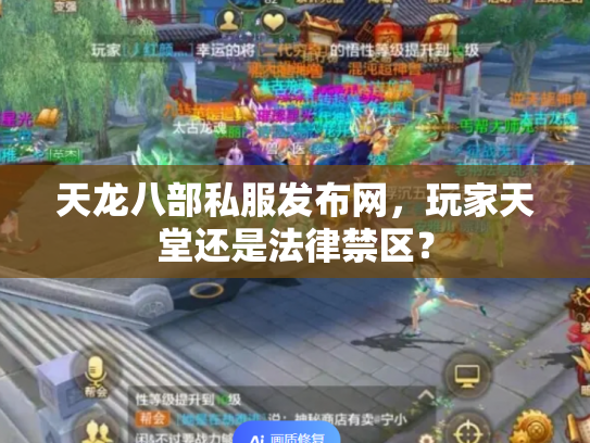 天龙八部私服发布网，玩家天堂还是法律禁区？