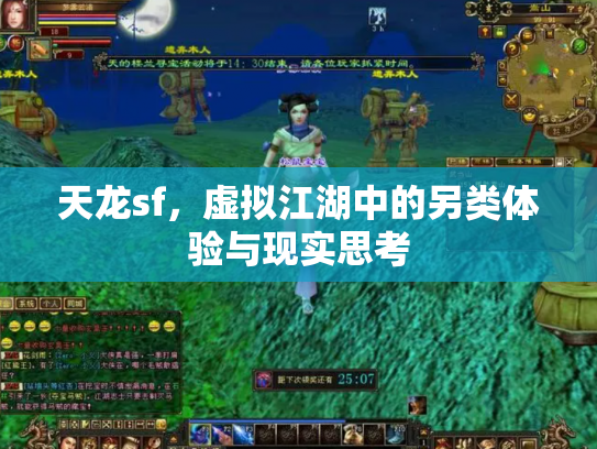 天龙sf，虚拟江湖中的另类体验与现实思考