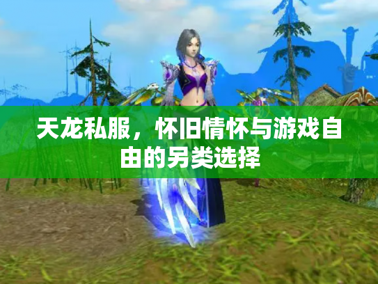 天龙私服，怀旧情怀与游戏自由的另类选择