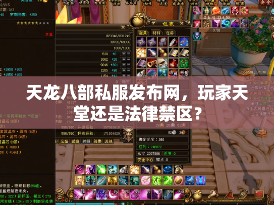 天龙八部私服发布网，玩家天堂还是法律禁区？