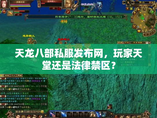 天龙八部私服发布网，玩家天堂还是法律禁区？