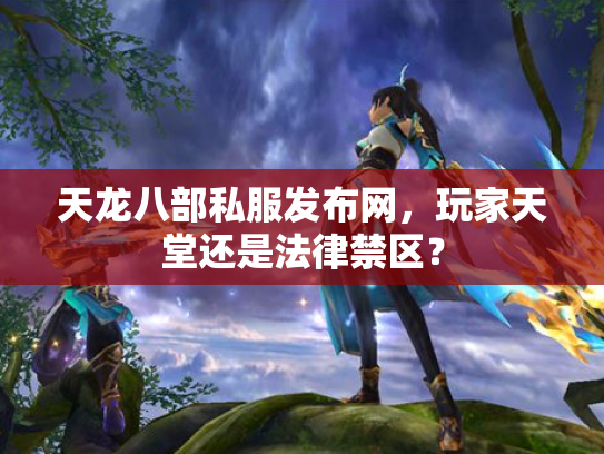 天龙八部私服发布网，玩家天堂还是法律禁区？
