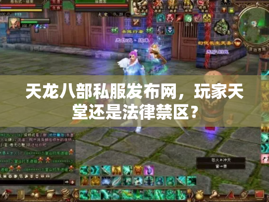 天龙八部私服发布网，玩家天堂还是法律禁区？