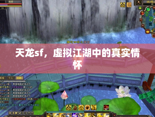 天龙sf，虚拟江湖中的真实情怀