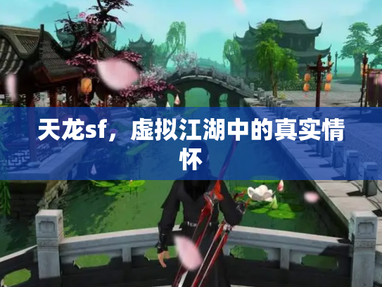 天龙sf，虚拟江湖中的真实情怀