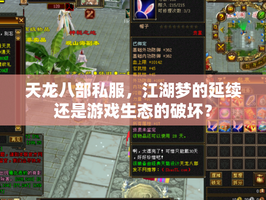 天龙八部私服，江湖梦的延续还是游戏生态的破坏？