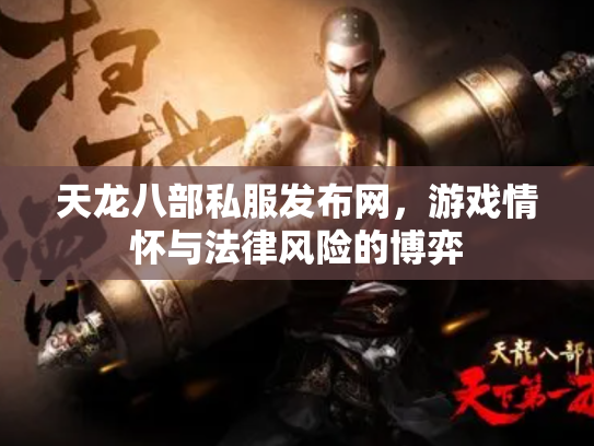 天龙八部私服发布网，游戏情怀与法律风险的博弈