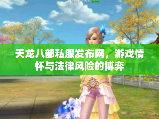 天龙八部私服发布网，游戏情怀与法律风险的博弈