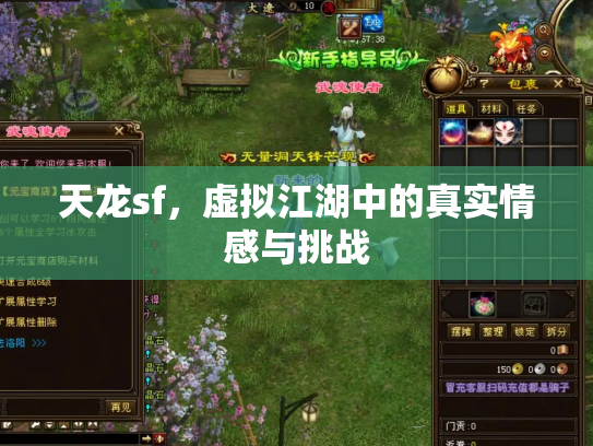 天龙sf，虚拟江湖中的真实情感与挑战
