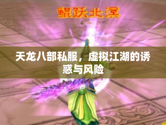 天龙八部私服，虚拟江湖的诱惑与风险