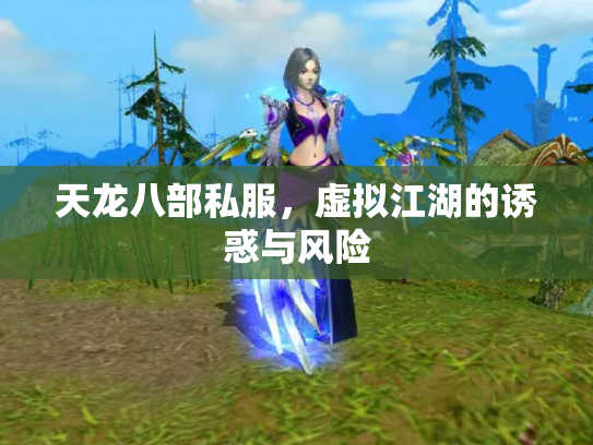 天龙八部私服，虚拟江湖的诱惑与风险