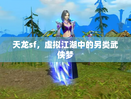 天龙sf，虚拟江湖中的另类武侠梦