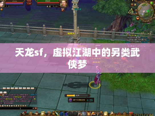 天龙sf，虚拟江湖中的另类武侠梦