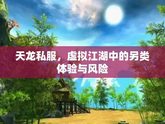 天龙私服，虚拟江湖中的另类体验与风险