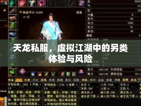 天龙私服，虚拟江湖中的另类体验与风险
