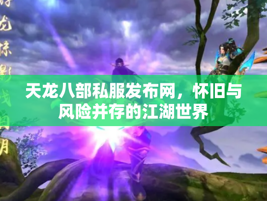 天龙八部私服发布网，怀旧与风险并存的江湖世界