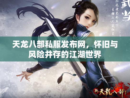 天龙八部私服发布网，怀旧与风险并存的江湖世界