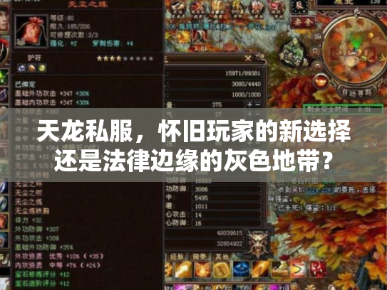 天龙私服，怀旧玩家的新选择还是法律边缘的灰色地带？