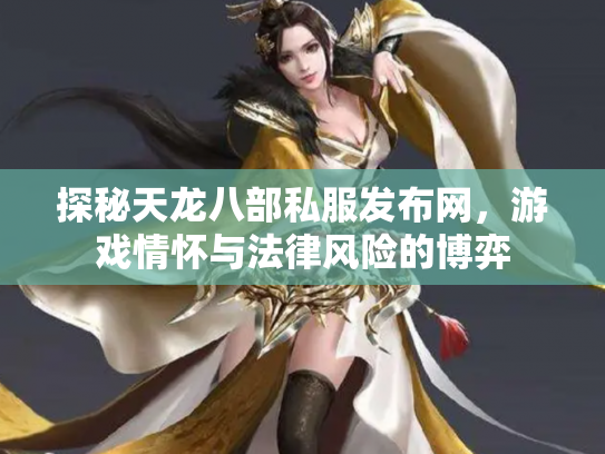 探秘天龙八部私服发布网，游戏情怀与法律风险的博弈