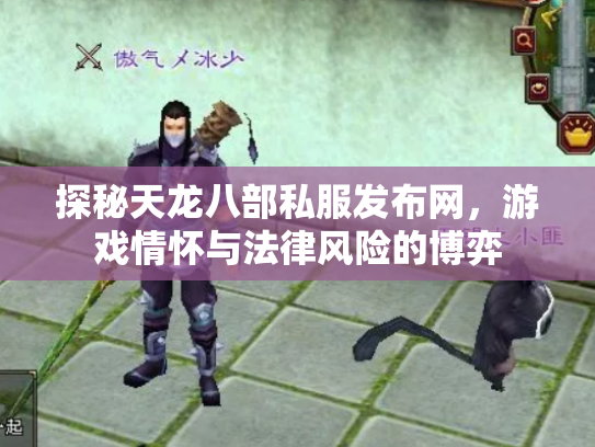 探秘天龙八部私服发布网，游戏情怀与法律风险的博弈
