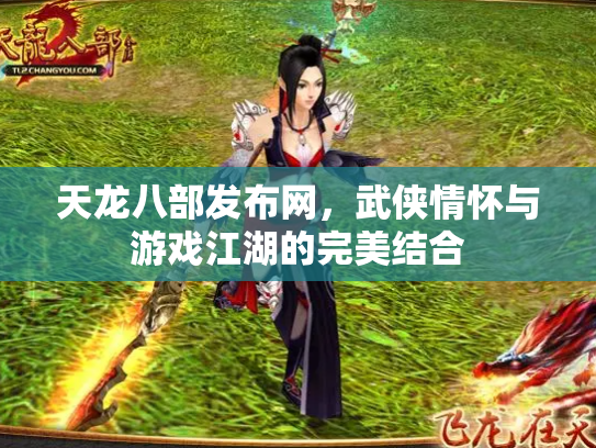 天龙八部发布网，武侠情怀与游戏江湖的完美结合