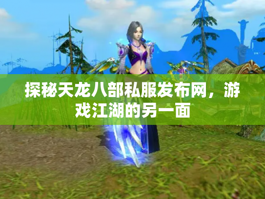 探秘天龙八部私服发布网，游戏江湖的另一面