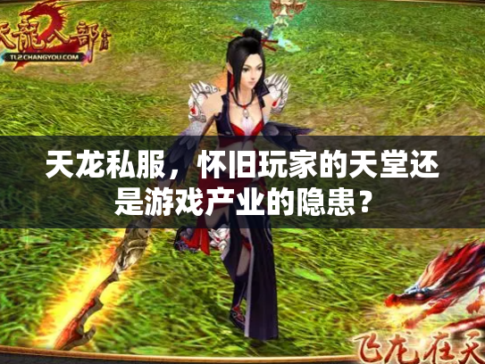 天龙私服，怀旧玩家的天堂还是游戏产业的隐患？