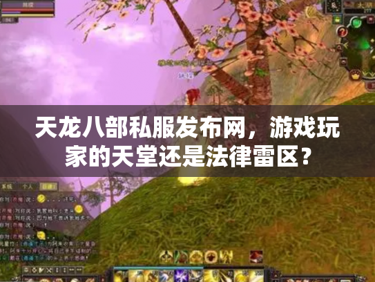 天龙八部私服发布网，游戏玩家的天堂还是法律雷区？