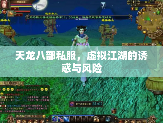天龙八部私服，虚拟江湖的诱惑与风险