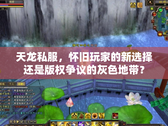 天龙私服，怀旧玩家的新选择还是版权争议的灰色地带？