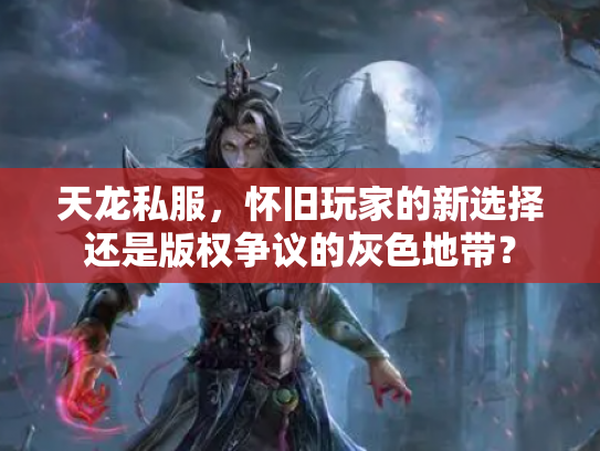 天龙私服，怀旧玩家的新选择还是版权争议的灰色地带？