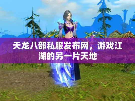 天龙八部私服发布网，游戏江湖的另一片天地