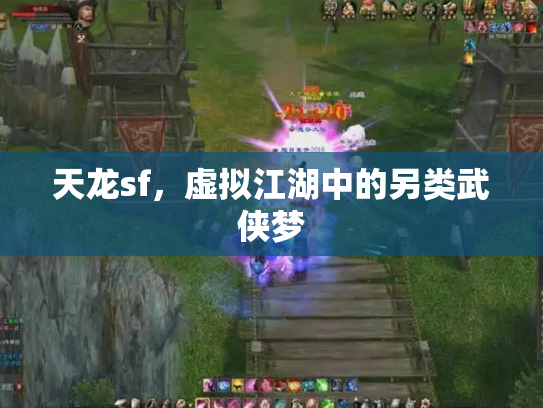 天龙sf，虚拟江湖中的另类武侠梦