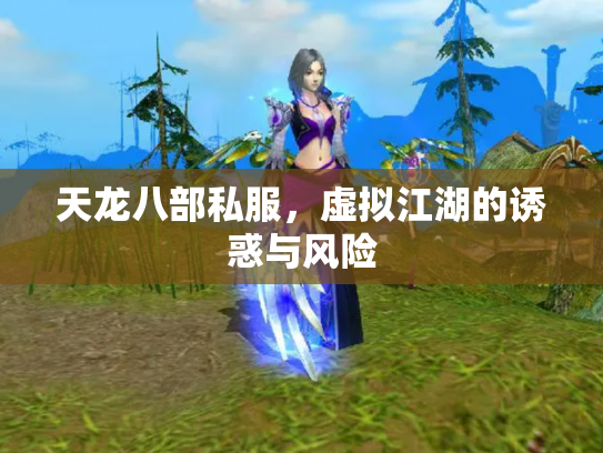 天龙八部私服，虚拟江湖的诱惑与风险