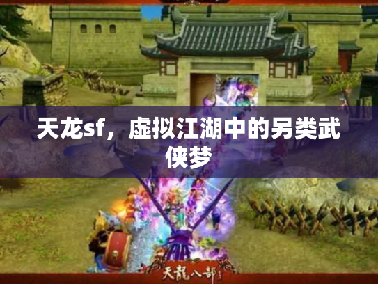天龙sf，虚拟江湖中的另类武侠梦