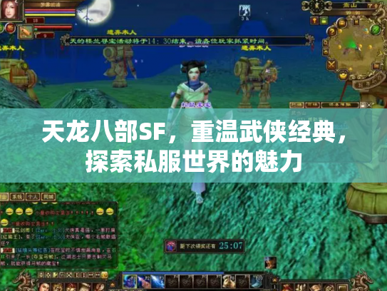 天龙八部SF，重温武侠经典，探索私服世界的魅力