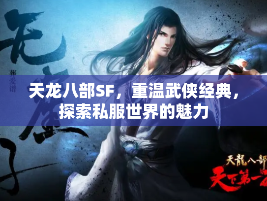 天龙八部SF，重温武侠经典，探索私服世界的魅力