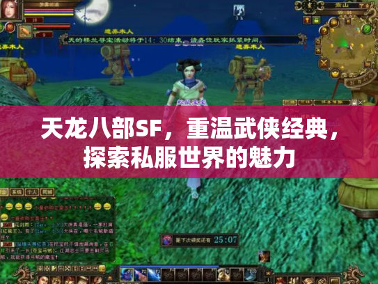 天龙八部SF，重温武侠经典，探索私服世界的魅力