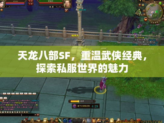 天龙八部SF，重温武侠经典，探索私服世界的魅力