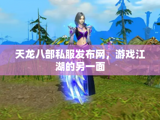 天龙八部私服发布网，游戏江湖的另一面