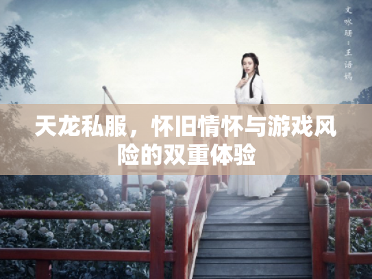 天龙私服，怀旧情怀与游戏风险的双重体验