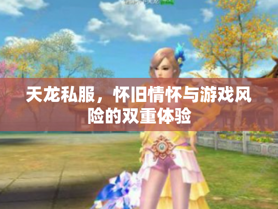 天龙私服，怀旧情怀与游戏风险的双重体验