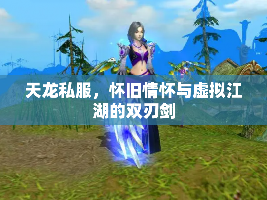 天龙私服，怀旧情怀与虚拟江湖的双刃剑